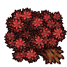 Cherry Tree