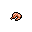 shrimp