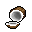 coconut